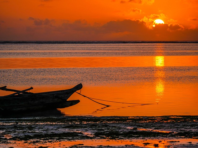 Circuit Zanzibar - Insula Mirodeniilor